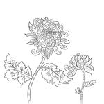 清明节素材          