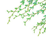 清明节素材          