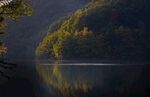 森林晚景