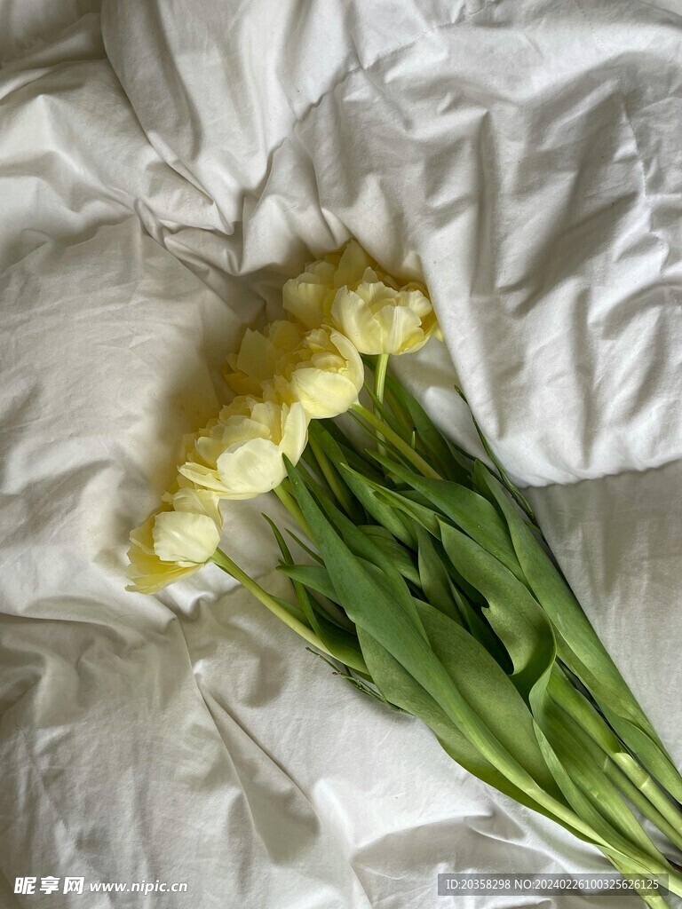 花朵 