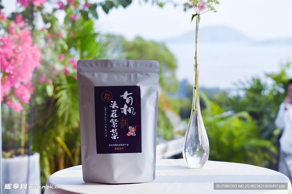 紫菜