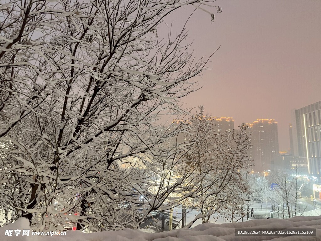 西安雪景图