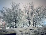 西安雪景图