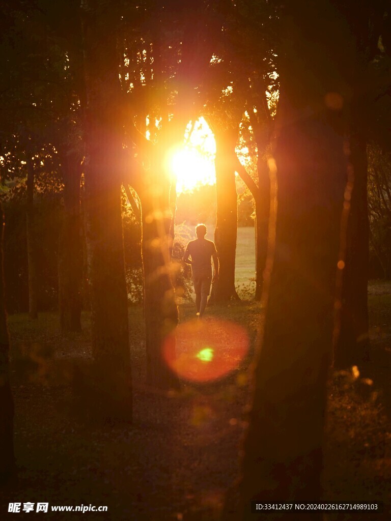 背影