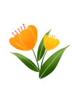 花