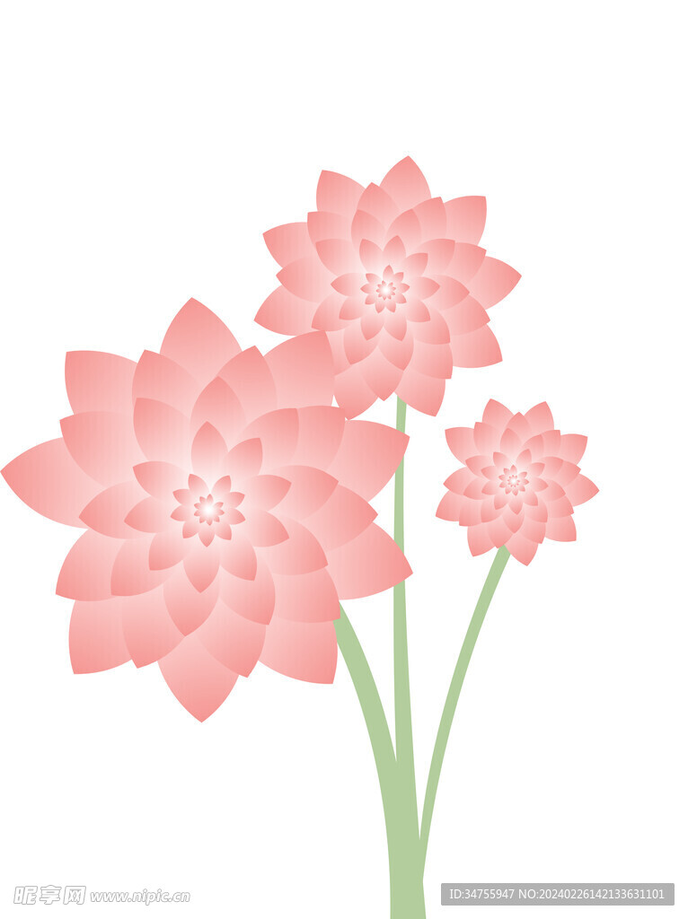 莲花