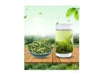 茶杯 茶叶 绿茶