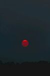 夕阳