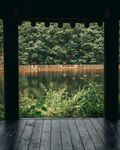 河边小鸭子