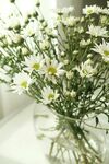 一束鲜花