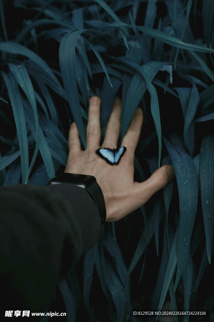 神秘的手