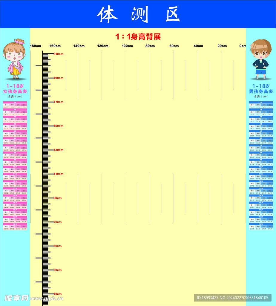 篮球身高体测图