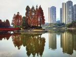 城市建筑 