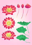 手绘花卉