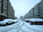 白雪