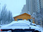 白雪