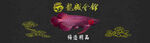 水族观赏鱼海报banner