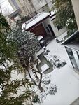 庭院雪景