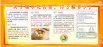 关于碳水化合物