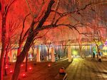 大唐芙蓉园灯展
