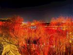 大唐不夜城花灯