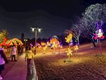 大唐芙蓉园灯展