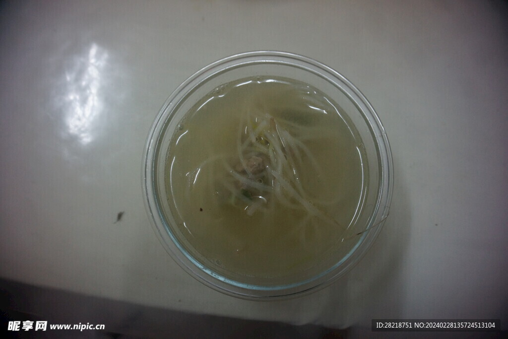 豆芽汤