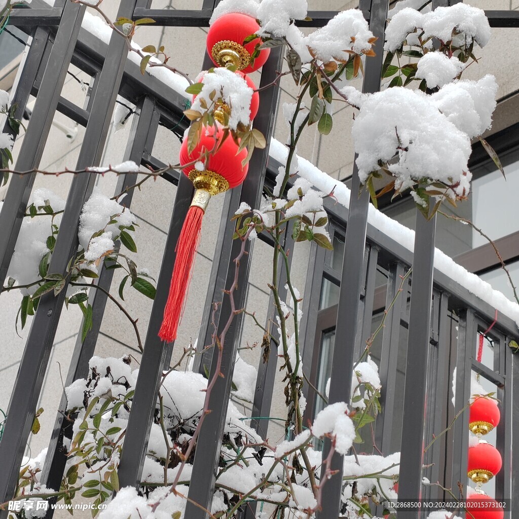 雪景、栏杆和红灯笼