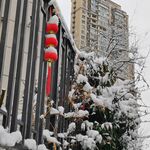 雪景红灯笼与高楼