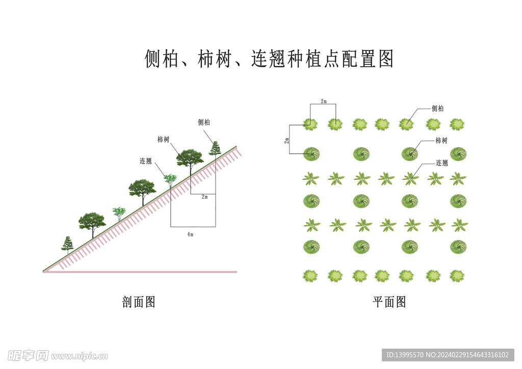 植被平面图