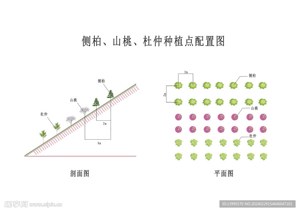 植被绿化剖面图