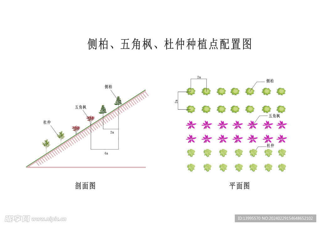 植被位置图