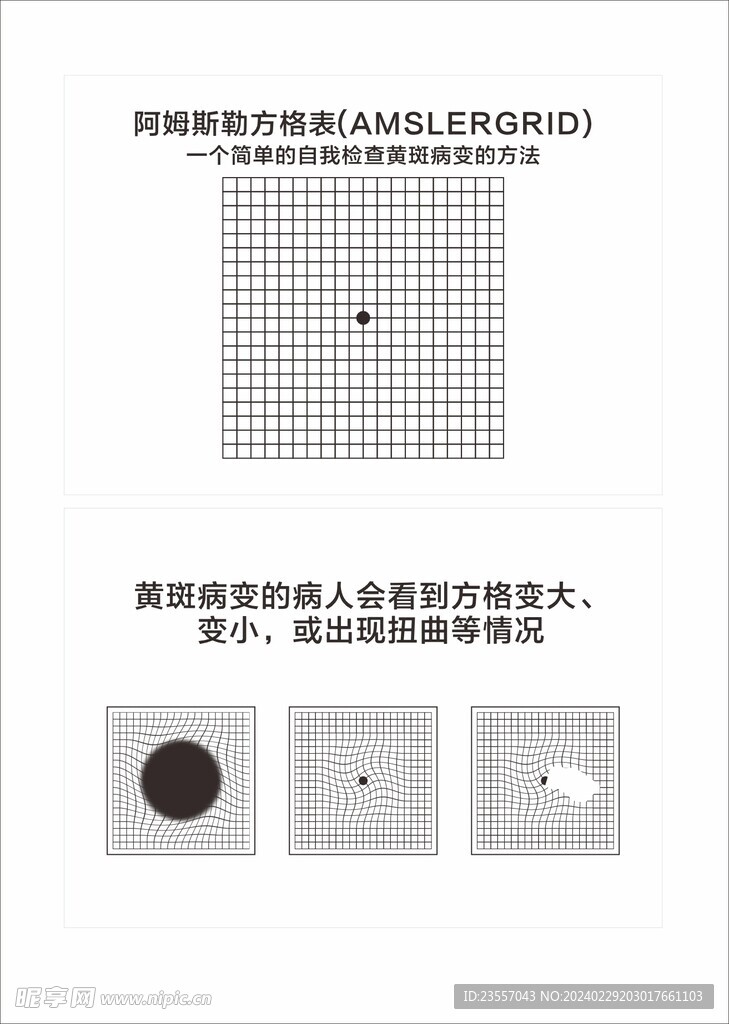 阿姆斯勒方格表