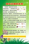 糖与近视