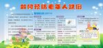 健康教育宣传栏