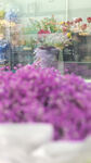 鲜花店铺