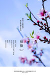 惊蛰