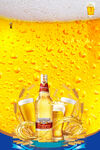 啤酒