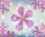紫色现实花背景与散景