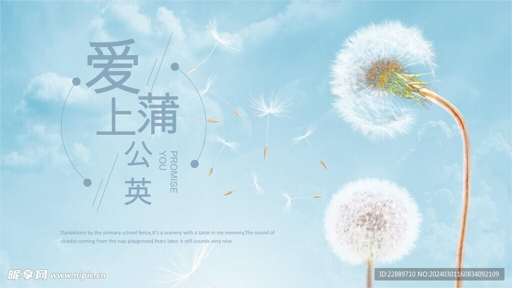 蒲公背景墙