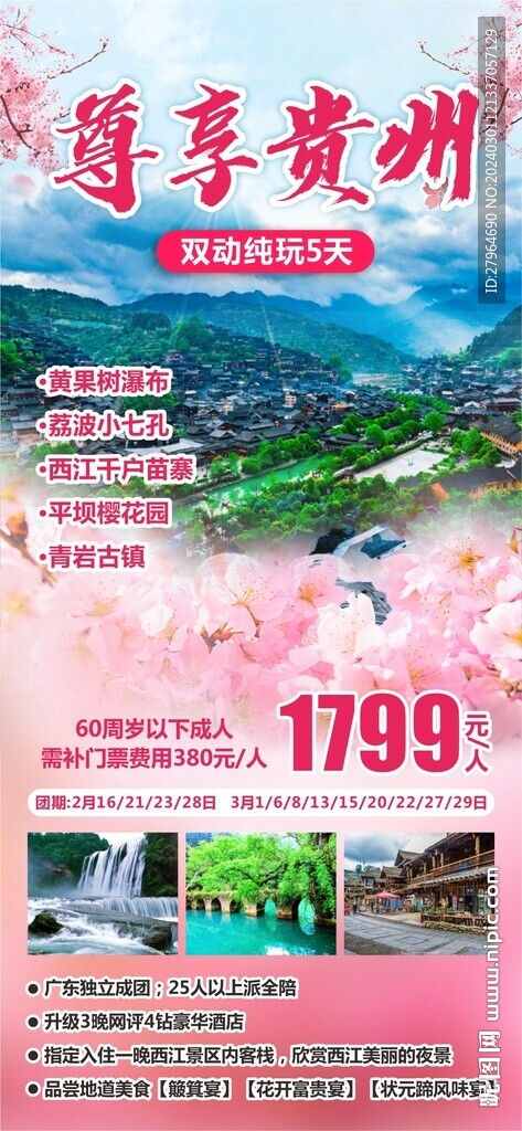 贵州樱花旅游