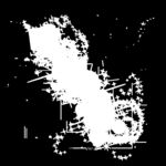 光