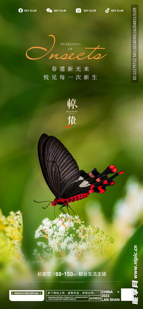  新中式惊蛰 