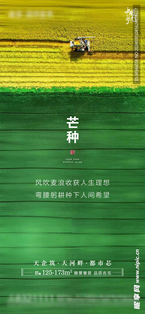 芒种海报           