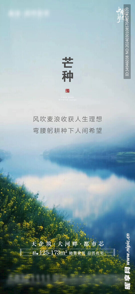 芒种海报           