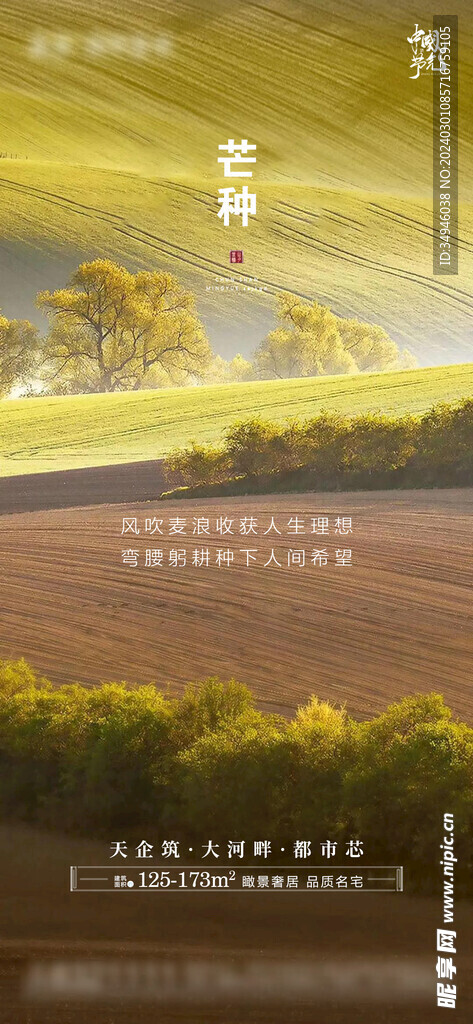 芒种海报           