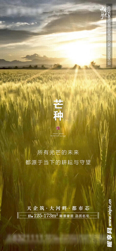 芒种海报           