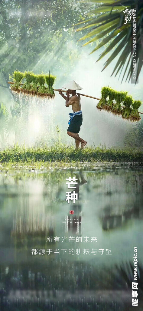 芒种海报           