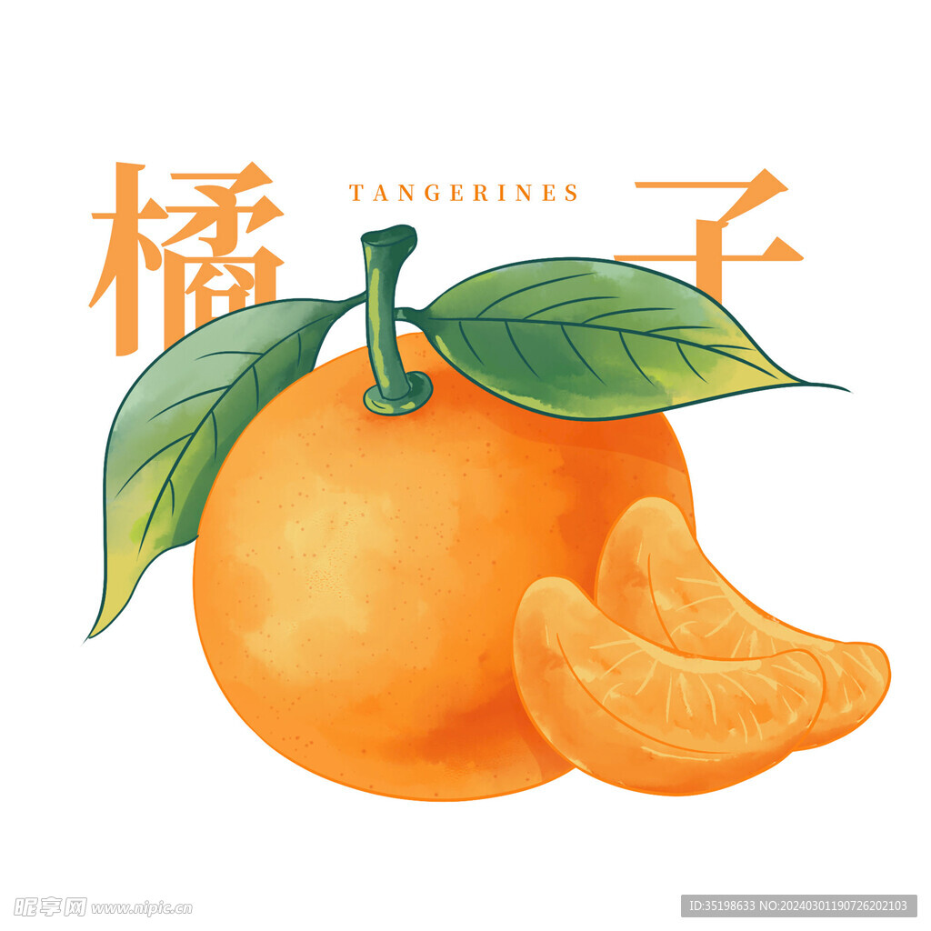手绘水彩水果橘子