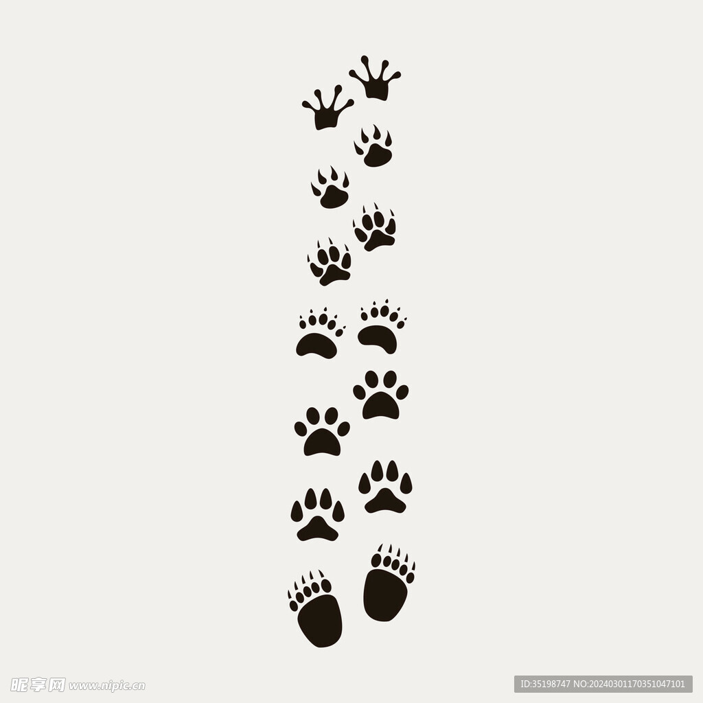 动物脚印矢量图片
